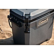 Coleman Kühlbox Convoy QT28 (L x B x H: 26 x 47 x 43 cm, Schwarz, 26,5 l) | BAUHAUS