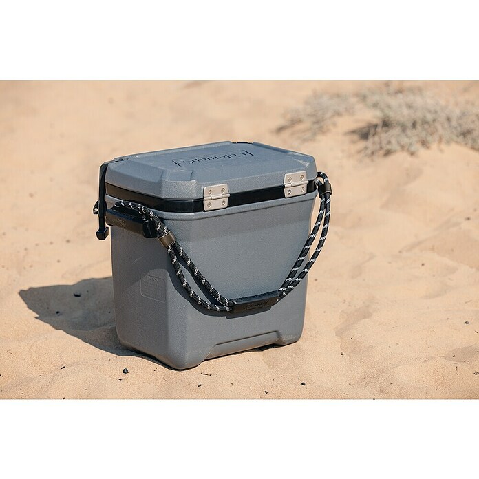 Coleman Kühlbox Convoy QT28 (L x B x H: 26 x 47 x 43 cm, Schwarz, 26,5 l) | BAUHAUS
