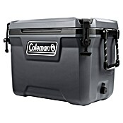 Coleman Kühlbox Convoy QT55 (L x B x H: 37 x 65 x 44 cm, Schwarz, 53 l) | BAUHAUS