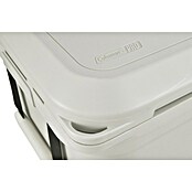 Coleman Prijenosni hladnjak Pro 45QT  (D x Š x V: 26 x 47 x 43 cm, 42,5 l) | BAUHAUS