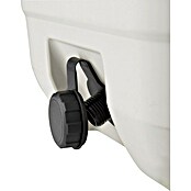Coleman Kühlbox Pro 25QT (L x B x H: 35 x 45 x 45 cm, Weiß, 24 l) | BAUHAUS