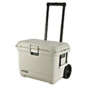 Coleman Kühlbox Pro 55QT (L x B x H: 65 x 37 x 48 cm, Schwarz, 52 l) | BAUHAUS