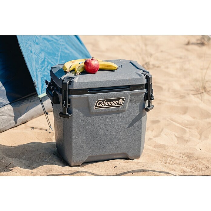 Coleman Kühlbox Convoy QT28 (L x B x H: 26 x 47 x 43 cm, Schwarz, 26,5 l) | BAUHAUS