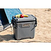 Coleman Kühlbox Convoy QT28 (L x B x H: 26 x 47 x 43 cm, Schwarz, 26,5 l) | BAUHAUS