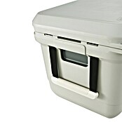 Coleman Prijenosni hladnjak Pro 45QT  (D x Š x V: 26 x 47 x 43 cm, 42,5 l) | BAUHAUS