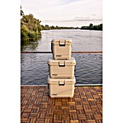 Coleman Kühlbox Pro 55QT (L x B x H: 65 x 37 x 48 cm, Schwarz, 52 l) | BAUHAUS