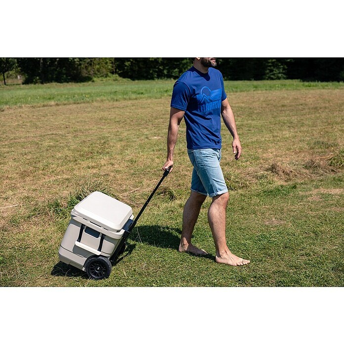 Coleman Nevera de camping Pro (L x An x Al: 65 x 37 x 48 cm, Blanco, 52 l) | BAUHAUS
