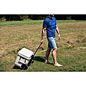 Coleman Nevera de camping Pro (L x An x Al: 65 x 37 x 48 cm, Blanco, 52 l) | BAUHAUS