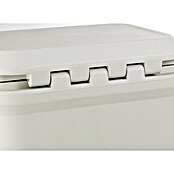 Coleman Kühlbox Pro 25QT (L x B x H: 35 x 45 x 45 cm, Weiß, 24 l) | BAUHAUS
