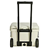 Coleman Kühlbox Pro 55QT (L x B x H: 65 x 37 x 48 cm, Schwarz, 52 l) | BAUHAUS