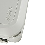 Coleman Nevera de camping Pro (L x An x Al: 26 x 47 x 43 cm, Blanco, 42,5 l) | BAUHAUS