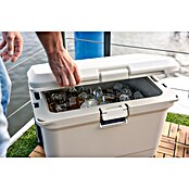 Coleman Kühlbox Pro 55QT (L x B x H: 65 x 37 x 48 cm, Schwarz, 52 l) | BAUHAUS