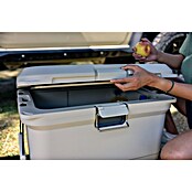 Coleman Prijenosni hladnjak Pro 45QT  (D x Š x V: 26 x 47 x 43 cm, 42,5 l) | BAUHAUS