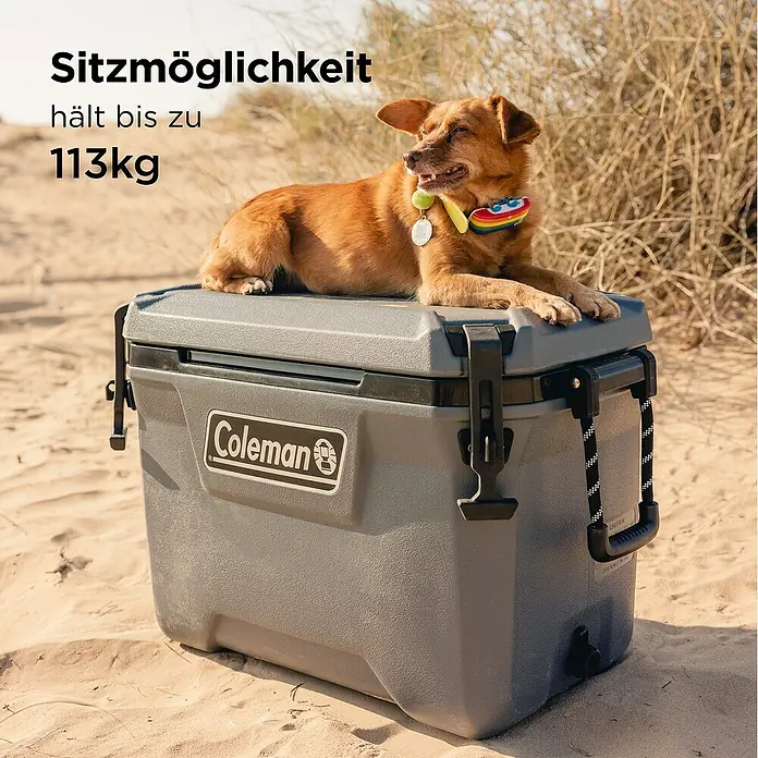 Coleman Kühlbox Convoy QT55 - L x B x H: 37 x 65 x 44 cm, Schwarz, 53 l - Graue Coleman Kühlbox auf einem Sandstrand mit Hund darauf, zeigt 113kg Sitzkapazität.