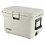 Coleman Prijenosni hladnjak Pro 45QT  (D x Š x V: 26 x 47 x 43 cm, 42,5 l) | BAUHAUS
