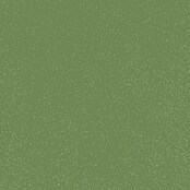 swingcolor effects Farbeffektputz Funkelnde Wohnraumfarbe mit Glitzer-Effekt (Palm, Glitzernd, 1 l) | BAUHAUS