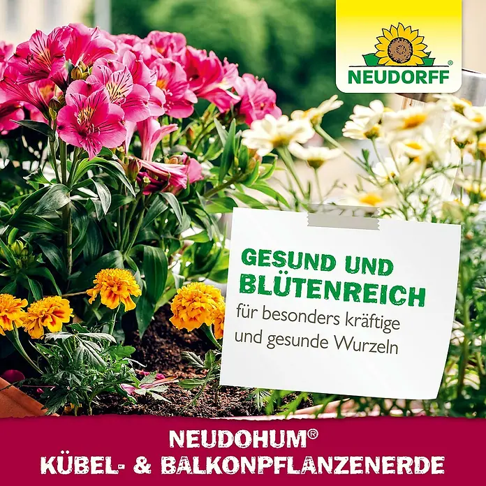 Neudorff NeudoHum Kübelpflanzenerde - 65 l - NEUDOHUM Kübel- & Balkonpflanzenerde mit leuchtenden Blumen in Töpfen, die gesundes Wachstum und kräftige Wurzeln betonen.