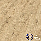 Egger Laminatmuster Aquadura (297 x 193 x 7,5 mm, Landhausdiele, Westport Eiche hell) | BAUHAUS