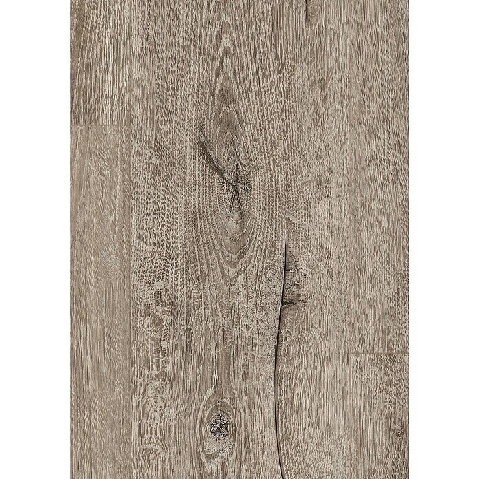 Egger Laminatmuster Aquadura (297 x 193 x 7,5 mm, Landhausdiele, Panora Eiche grau) | BAUHAUS