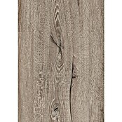 Egger Laminatmuster Aquadura (297 x 193 x 7,5 mm, Landhausdiele, Panora Eiche grau) | BAUHAUS