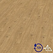 Egger Laminatmuster Aquadura+ (297 x 193 x 7,5 mm, Landhausdiele, Berdal Eiche natur) | BAUHAUS