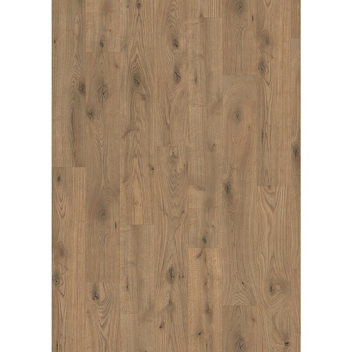 Egger Laminat Aquadura+ Almington Eiche natur (Almington Eiche natur, Landhausdiele, 1 292 x 193 x 7,5 mm) | BAUHAUS