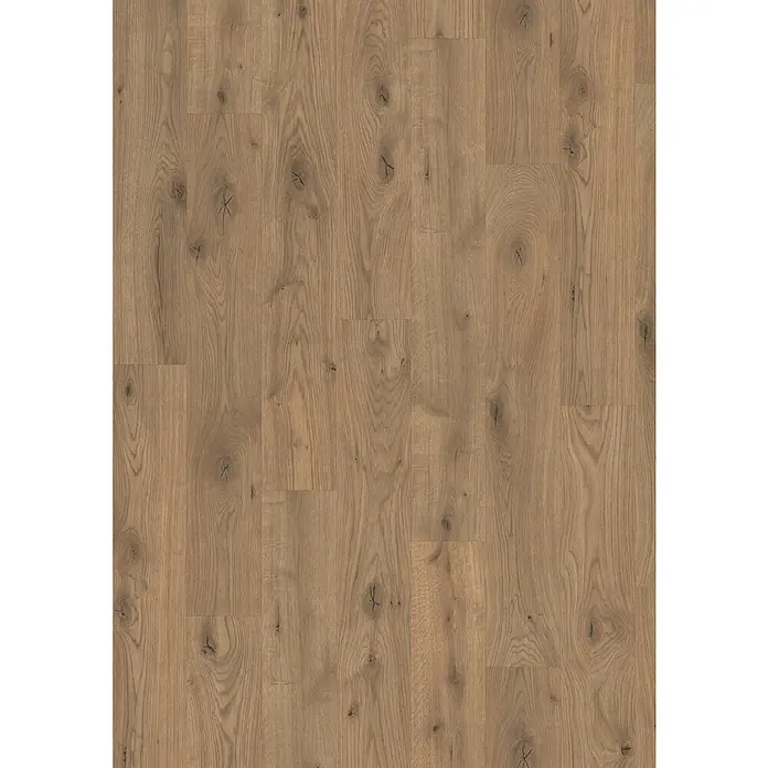 Egger Laminat Aquadura+ - Almington Eiche natur, Landhausdiele, 1.292 x 193 x 7,5 mm - Nahaufnahme von hellem Eichenlaminatboden mit subtilen Maserungen und Astlöchern, ideal für moderne Innenräume.