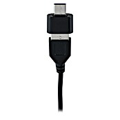 Paulmann LED traka Black Neon  (Duljina: 300 cm, Boja svjetla: RGB, 5 W, 5 V) | BAUHAUS