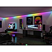 Paulmann LED traka Black Neon  (Duljina: 300 cm, Boja svjetla: RGB, 5 W, 5 V) | BAUHAUS