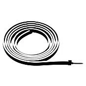 Paulmann LED traka Black Neon  (Duljina: 300 cm, Boja svjetla: RGB, 5 W, 5 V) | BAUHAUS