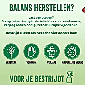 ECOstyle Insectenspray tegen vliegende insecten (500 ml) | BAUHAUS