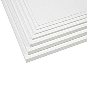 Višenamjenska spužva  (D x Š x V: 200 x 100 x 3 cm, 25 kg/m³, Bijela) | BAUHAUS