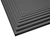 Večnamenska pena  (Do x Š x V: 200 x 100 x 4 cm, 35 kg/m³, Siva) | 6473 - Schaumstoff ohne Zuschnitt | HDEB - Akustik/Schaumstoffe | HDE - Sonstige Ambiente | HD - Ambiente | H - Innendeko/Farben | BAUHAUS