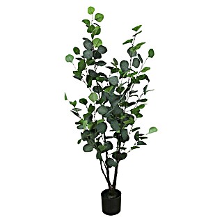 Planta artificial Eucalipto (Altura: 120 cm, Verde, Plástico)