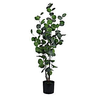 Planta artificial Eucalipto (Altura: 95 cm, Verde, Plástico)