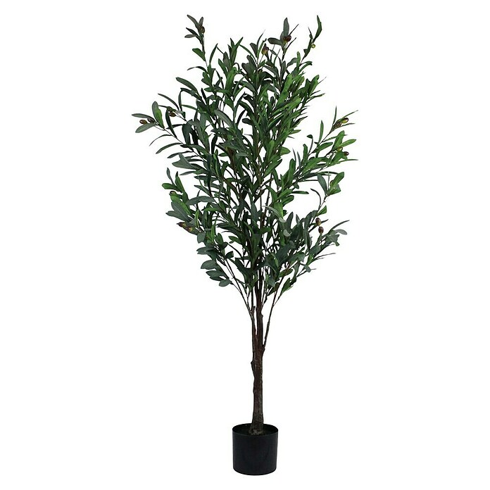 Planta artificial Olivo (Altura: 150 cm, Verde, Plástico) | BAUHAUS