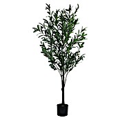 Planta artificial Olivo (Altura: 150 cm, Verde, Plástico) | BAUHAUS