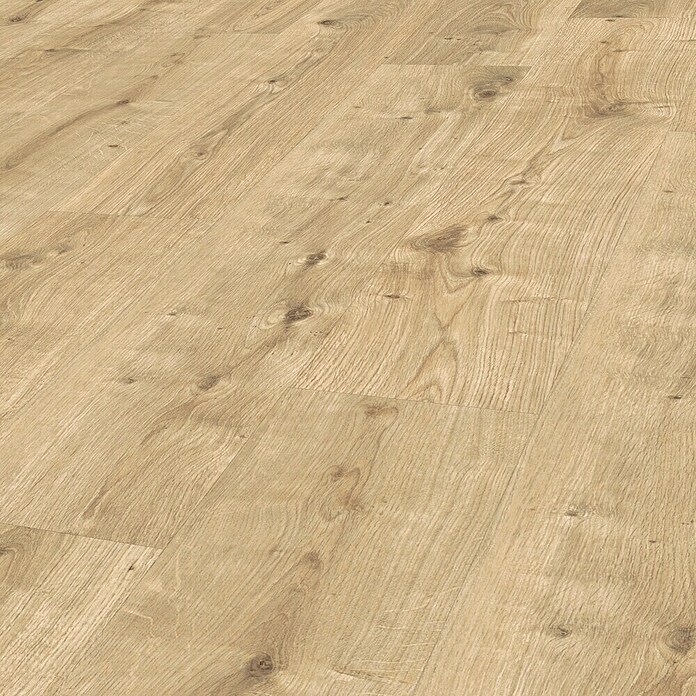 Egger Laminatmuster Aquadura (297 x 193 x 7,5 mm, Landhausdiele, Westport Eiche hell) | BAUHAUS