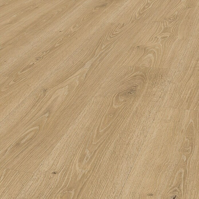 Egger Laminatmuster Aquadura (297 x 193 x 7,5 mm, Landhausdiele, Camden Eiche natur) | BAUHAUS