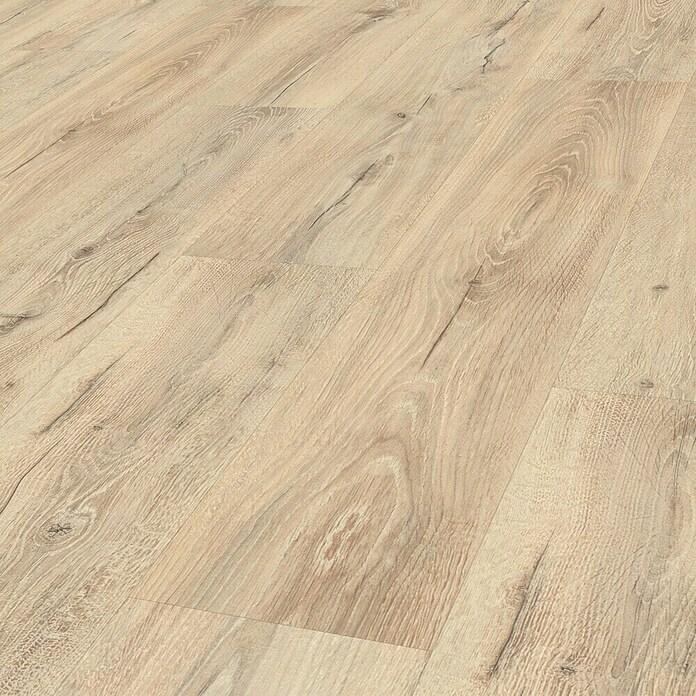 Egger Laminatmuster Aquadura (297 x 193 x 7,5 mm, Landhausdiele, Panora Eiche beige) | BAUHAUS