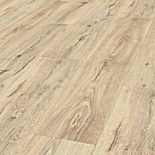 Egger Laminatmuster Aquadura (297 x 193 x 7,5 mm, Landhausdiele, Panora Eiche beige) | BAUHAUS