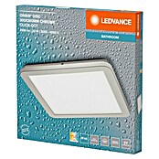 Ledvance Orbis Plafón LED (22 W, L x An x Al: 30 x 30 x 3 cm, Cromo, Blanco cálido, Cuadrado) | BAUHAUS