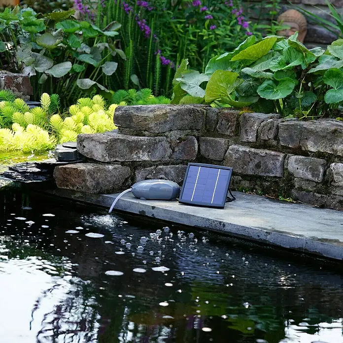 Ubbink Solar-Teichlüfter Airsolar outdoor - 1,5 W, Teichgröße: 1 m³ - Solarbetriebene Teichbelüfterpumpe neben einem kleinen Teich mit üppigem Grün. Sorgt für Sauerstoff und verbessert die Wasserqualität.