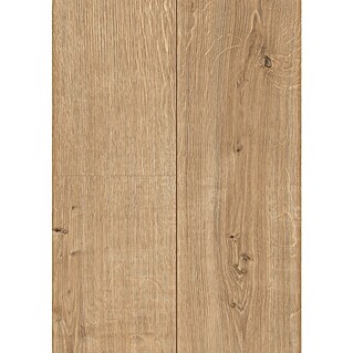 Egger Laminaat sample Ortega eiken (297 x 327 x 8 mm, Planken)