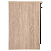 Respekta Merle Spülenunterschrank (B x T x H: 50 x 60 x 84,8 cm, Grau) | BAUHAUS