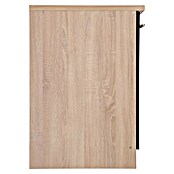Respekta Merle Spülenunterschrank (B x T x H: 50 x 60 x 84,8 cm, Schwarz) | BAUHAUS