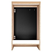 Respekta Merle Spülenunterschrank (B x T x H: 50 x 60 x 84,8 cm, Schwarz) | BAUHAUS