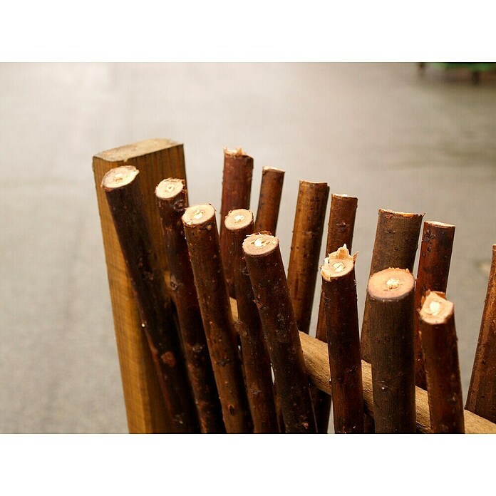 Plus Sichtschutzelement Luxus (B x H: 120 x 100 cm, Braun) | BAUHAUS