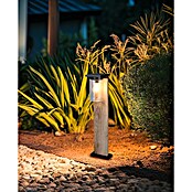 Trio Lighting Sobremuro exterior Ardila (40 W, Color del marco: Marrón) | BAUHAUS