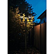 Trio Lighting Farola Elvo (60 W, Color del marco: Negro, Altura: 240 cm) | BAUHAUS